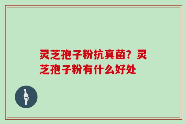 灵芝孢子粉抗真菌？灵芝孢子粉有什么好处