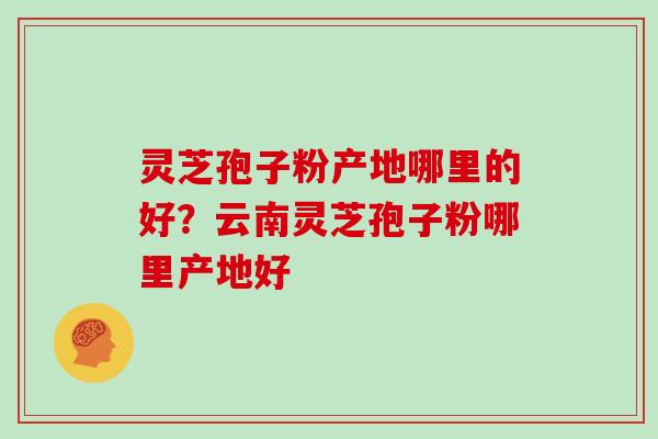 灵芝孢子粉产地哪里的好?云南灵芝孢子粉哪里产地好