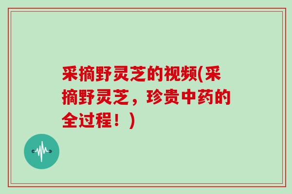 采摘野灵芝的视频(采摘野灵芝，珍贵中药的全过程！)