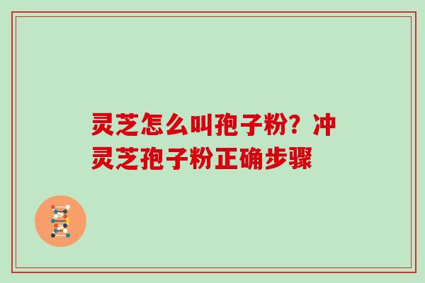 灵芝怎么叫孢子粉？冲灵芝孢子粉正确步骤