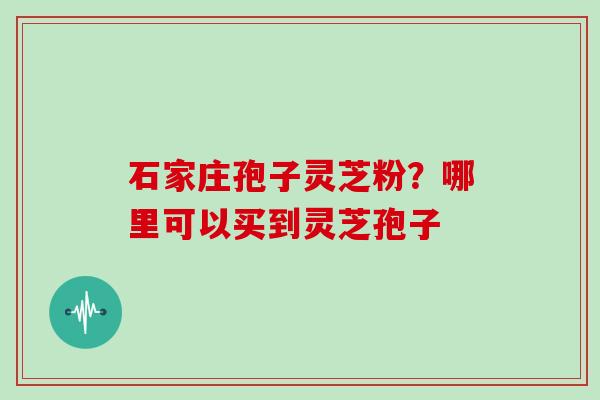 石家庄孢子灵芝粉？哪里可以买到灵芝孢子
