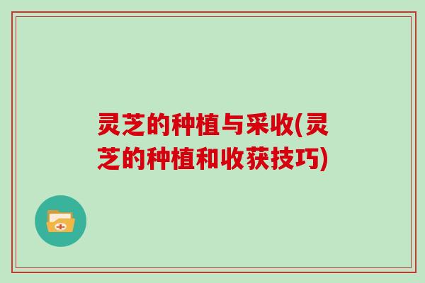 灵芝的种植与采收(灵芝的种植和收获技巧)
