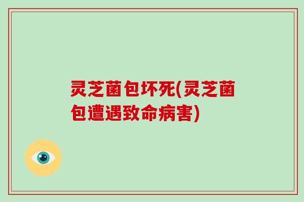 灵芝菌包坏死(灵芝菌包遭遇致命病害)