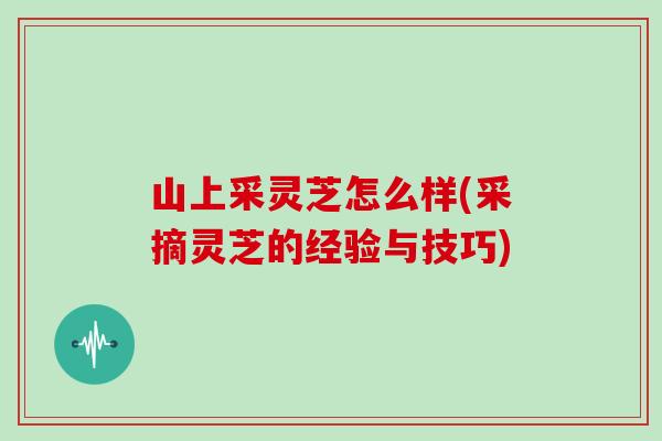山上采灵芝怎么样(采摘灵芝的经验与技巧)