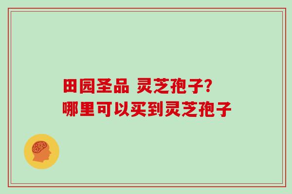 田园圣品 灵芝孢子?哪里可以买到灵芝孢子