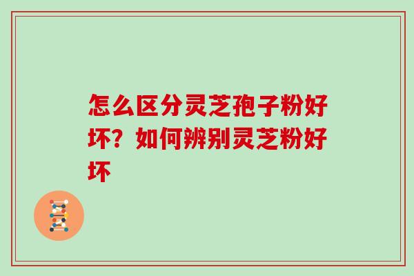 怎么区分灵芝孢子粉好坏?如何辨别灵芝粉好坏
