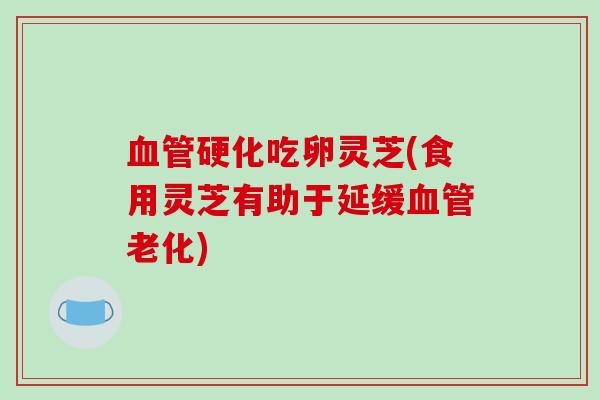 血管硬化吃卵灵芝(食用灵芝有助于延缓血管老化)