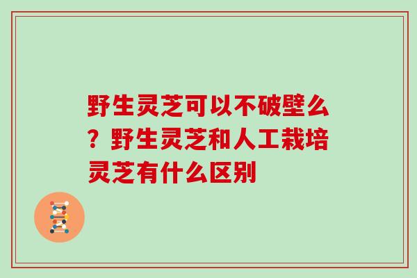 野生灵芝可以不破壁么?野生灵芝和人工栽培灵芝有什么区别