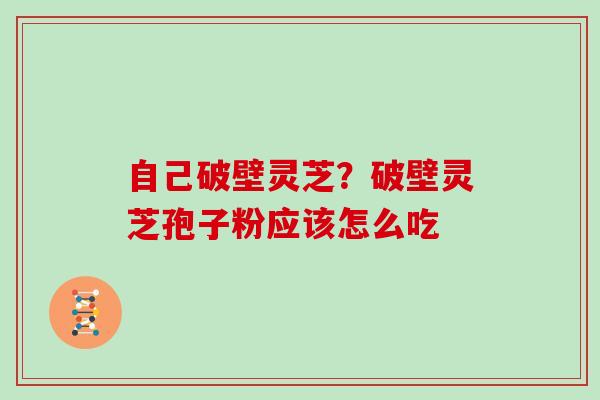 自己破壁灵芝?破壁灵芝孢子粉应该怎么吃