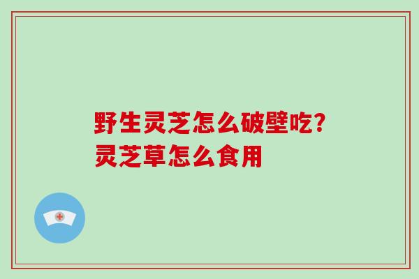 野生灵芝怎么破壁吃?灵芝草怎么食用