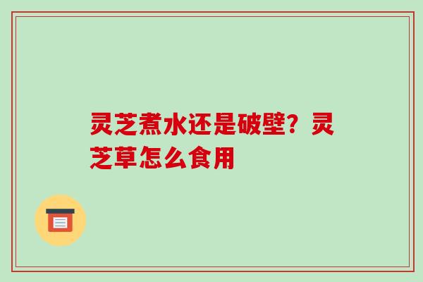 灵芝煮水还是破壁?灵芝草怎么食用