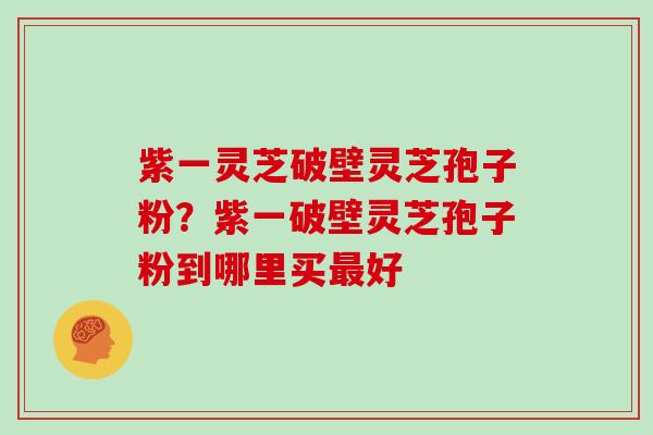 紫一灵芝破壁灵芝孢子粉？紫一破壁灵芝孢子粉到哪里买最好