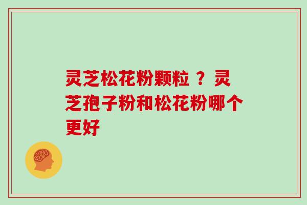 灵芝松花粉颗粒 ？灵芝孢子粉和松花粉哪个更好