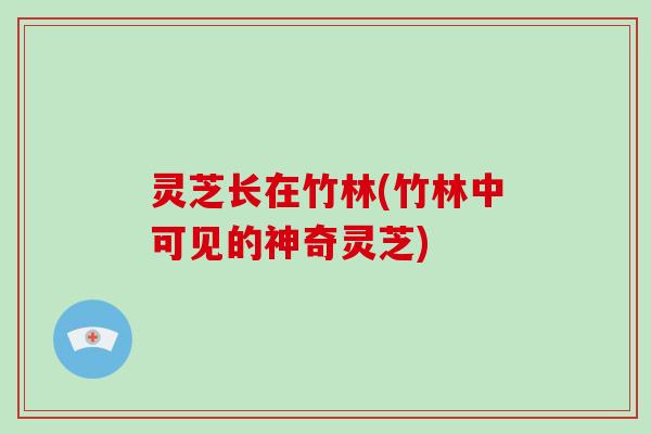 灵芝长在竹林(竹林中可见的神奇灵芝)