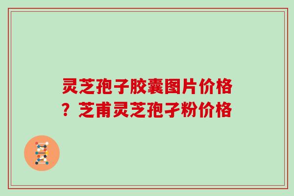 灵芝孢子胶囊图片价格?芝甫灵芝孢孑粉价格