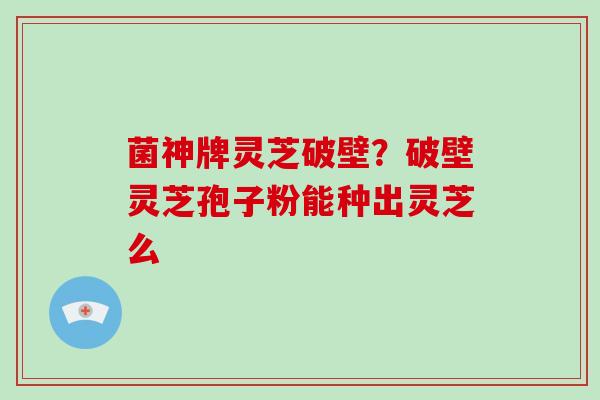 菌神牌灵芝破壁？破壁灵芝孢子粉能种出灵芝么