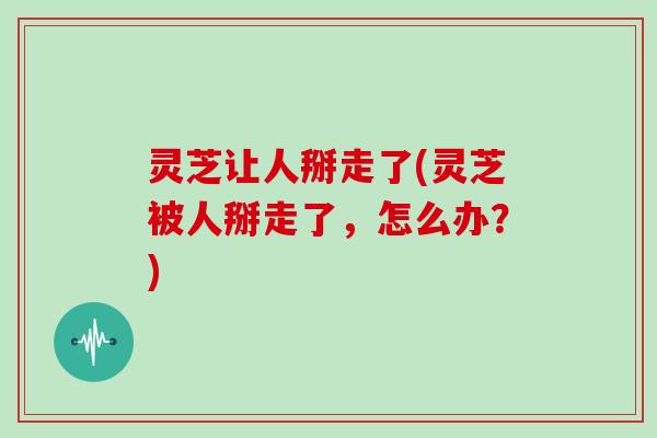 灵芝让人掰走了(灵芝被人掰走了，怎么办？)