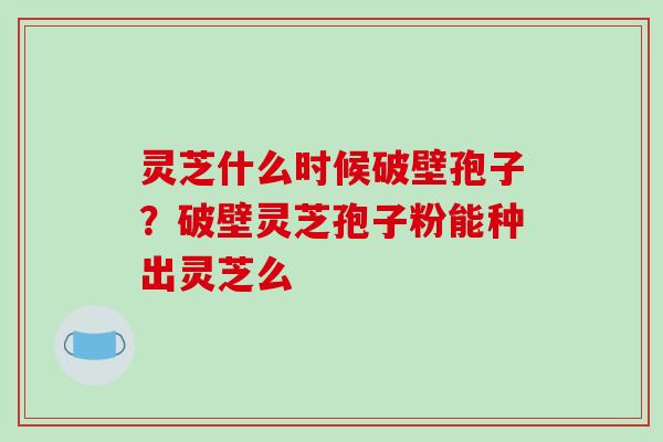 灵芝什么时候破壁孢子?破壁灵芝孢子粉能种出灵芝么