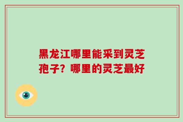 黑龙江哪里能采到灵芝孢子？哪里的灵芝最好