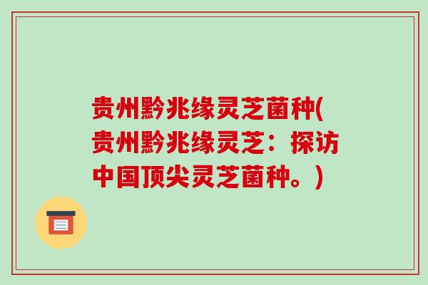 贵州黔兆缘灵芝菌种(贵州黔兆缘灵芝：探访中国顶尖灵芝菌种。)