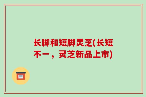 长脚和短脚灵芝(长短不一,灵芝新品上市)