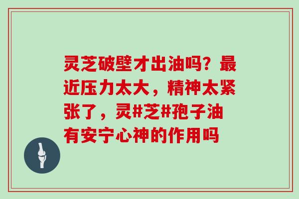 灵芝破壁才出油吗？最近压力太大，精神太紧张了，灵#芝#孢子油有安宁心神的作用吗