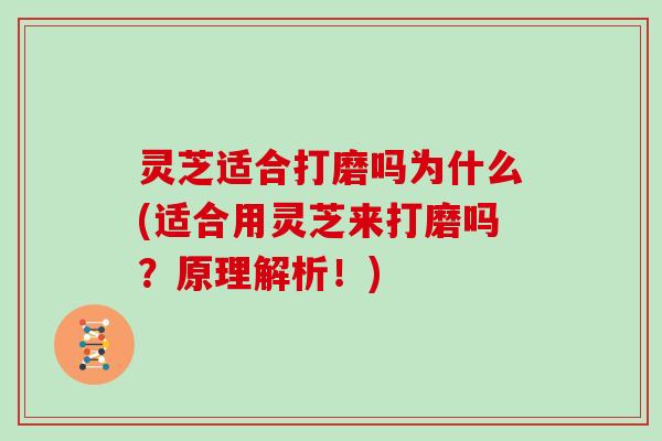 灵芝适合打磨吗为什么(适合用灵芝来打磨吗?原理解析!)