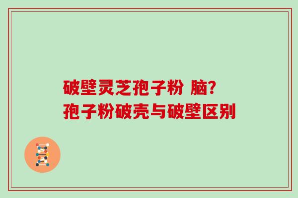 破壁灵芝孢子粉 脑？孢子粉破壳与破壁区别