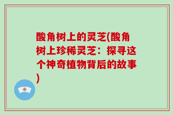 酸角树上的灵芝(酸角树上珍稀灵芝:探寻这个神奇植物背后的故事)