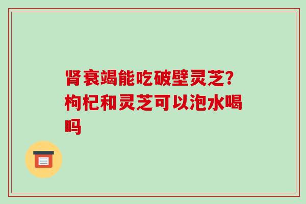 肾衰竭能吃破壁灵芝？枸杞和灵芝可以泡水喝吗