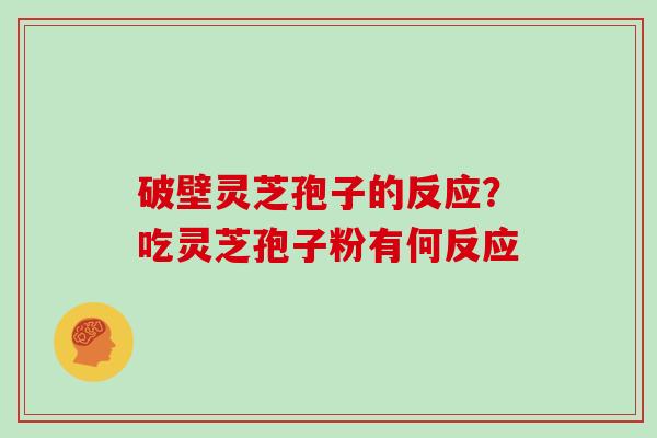 破壁灵芝孢子的反应？吃灵芝孢子粉有何反应