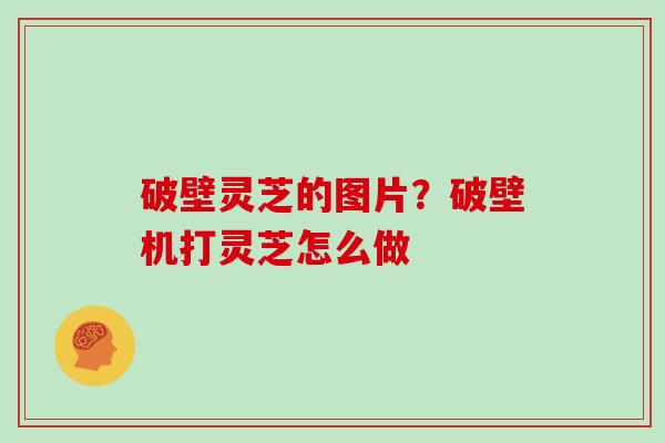 破壁灵芝的图片?破壁机打灵芝怎么做