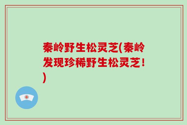 秦岭野生松灵芝(秦岭发现珍稀野生松灵芝!)