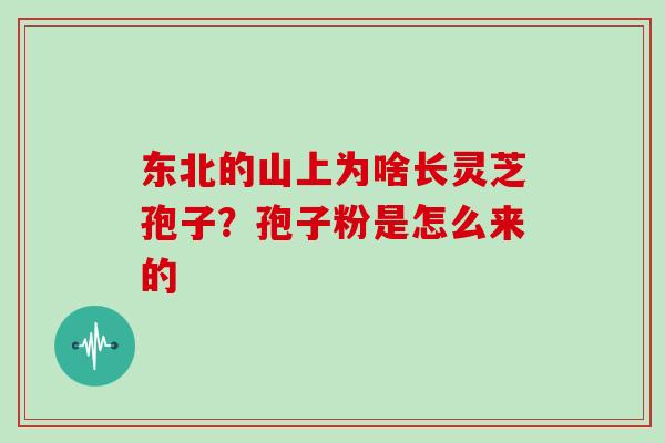 东北的山上为啥长灵芝孢子?孢子粉是怎么来的