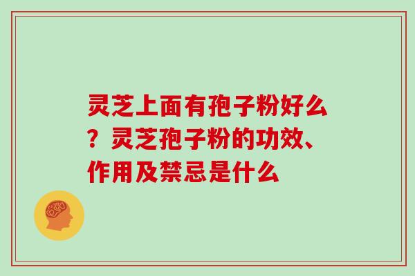 灵芝上面有孢子粉好么?灵芝孢子粉的功效、作用及禁忌是什么