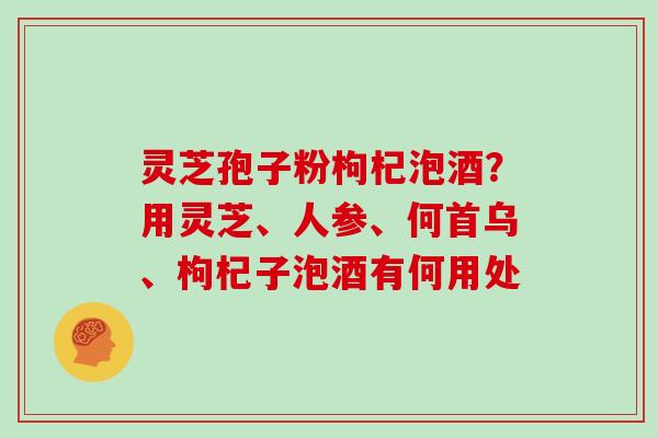灵芝孢子粉枸杞泡酒?用灵芝、人参、何首乌、枸杞子泡酒有何用处