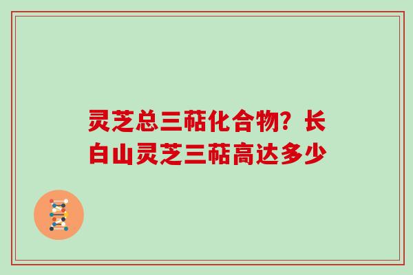 灵芝总三萜化合物？长白山灵芝三萜高达多少