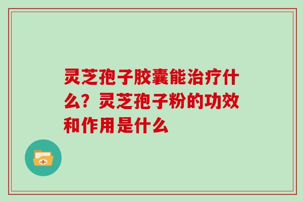 灵芝孢子胶囊能治疗什么?灵芝孢子粉的功效和作用是什么