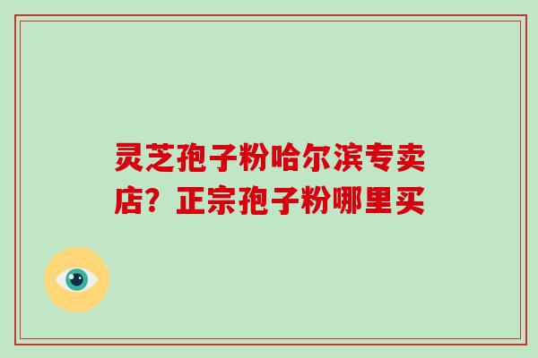 灵芝孢子粉哈尔滨专卖店?正宗孢子粉哪里买