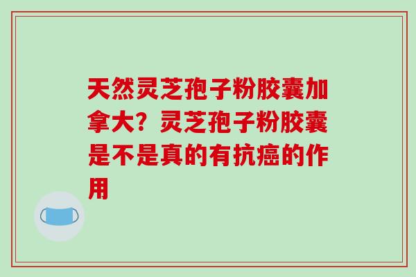 天然灵芝孢子粉胶囊加拿大?灵芝孢子粉胶囊是不是真的有抗癌的作用