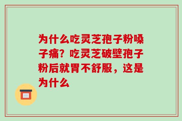 为什么吃灵芝孢子粉嗓子痛?吃灵芝破壁孢子粉后就胃不舒服,这是为什么