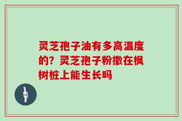 灵芝孢子油有多高温度的?灵芝孢子粉撒在枫树桩上能生长吗