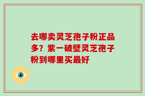 去哪卖灵芝孢子粉正品多?紫一破壁灵芝孢子粉到哪里买最好