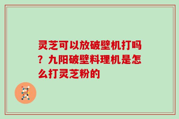 灵芝可以放破壁机打吗？九阳破壁料理机是怎么打灵芝粉的