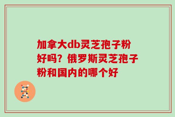 加拿大db灵芝孢子粉好吗?俄罗斯灵芝孢子粉和国内的哪个好
