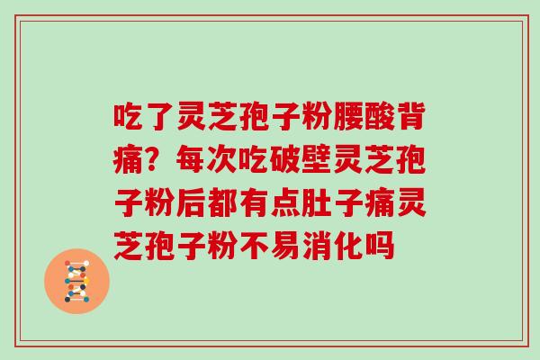 吃了灵芝孢子粉腰酸背痛？每次吃破壁灵芝孢子粉后都有点肚子痛灵芝孢子粉不易消化吗