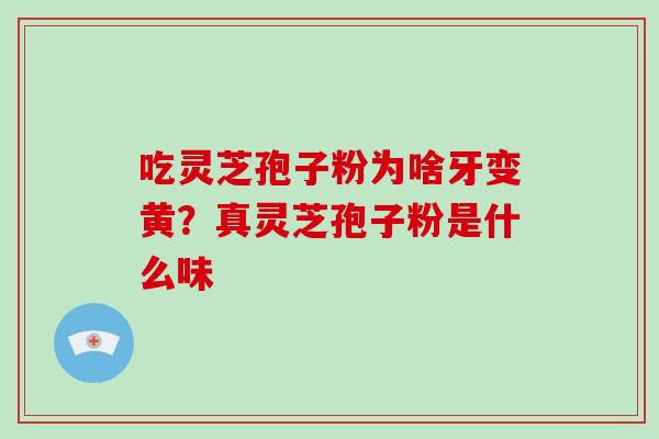 吃灵芝孢子粉为啥牙变黄？真灵芝孢子粉是什么味