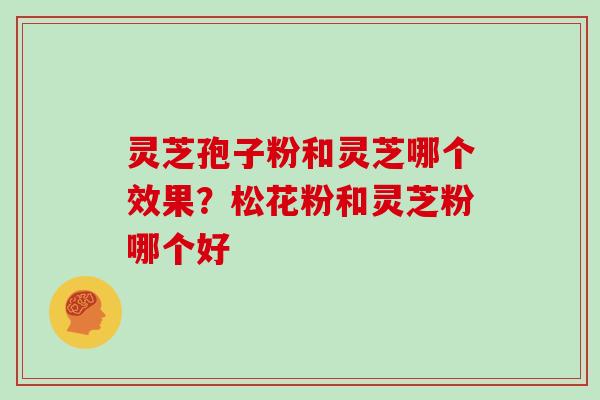 灵芝孢子粉和灵芝哪个效果？松花粉和灵芝粉哪个好