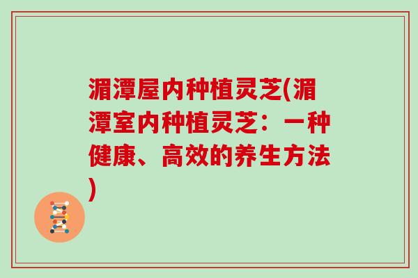 湄潭屋内种植灵芝(湄潭室内种植灵芝：一种健康、高效的养生方法)