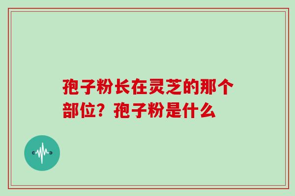 孢子粉长在灵芝的那个部位？孢子粉是什么